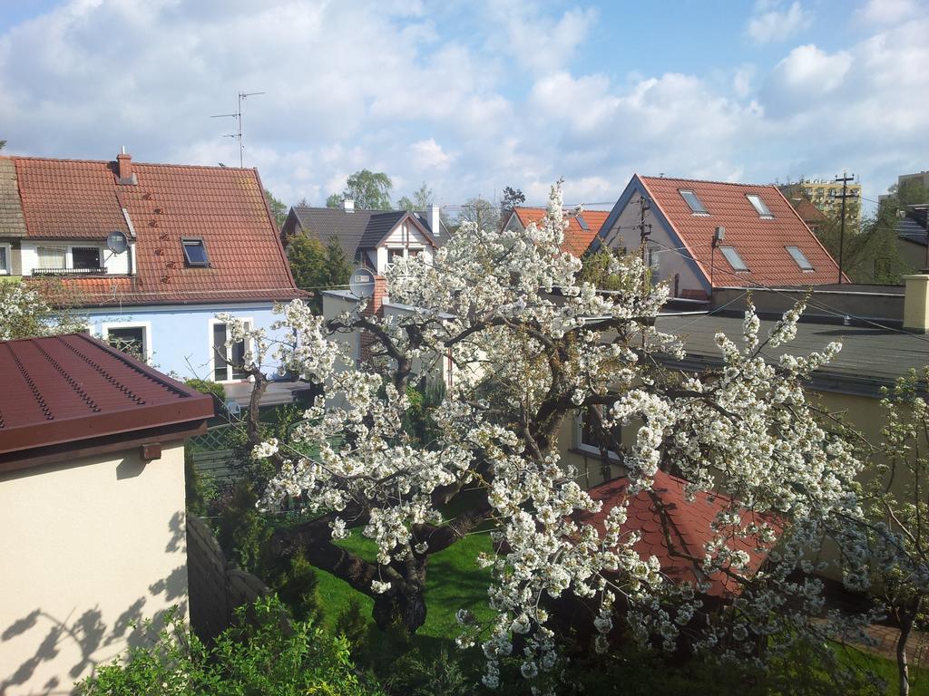 Cozy Apartment With Garden Gdansk Dış mekan fotoğraf